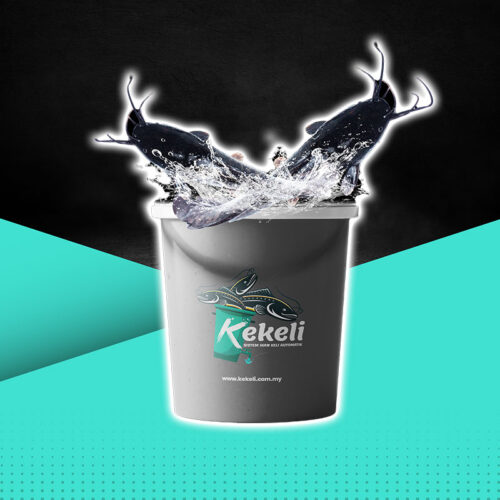 Set Single Kekeli Automatik