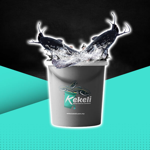 Set Single Kekeli Automatik