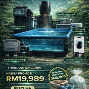 Set Complete Kolam Ikan Besar