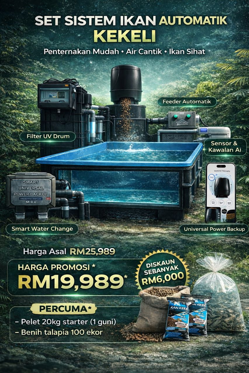 set-kolam-besar-price