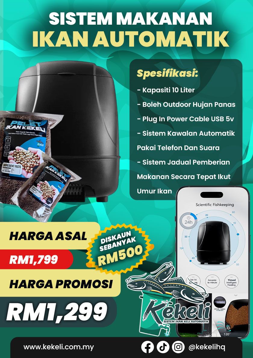 sistem-makanan-ikan-automatik